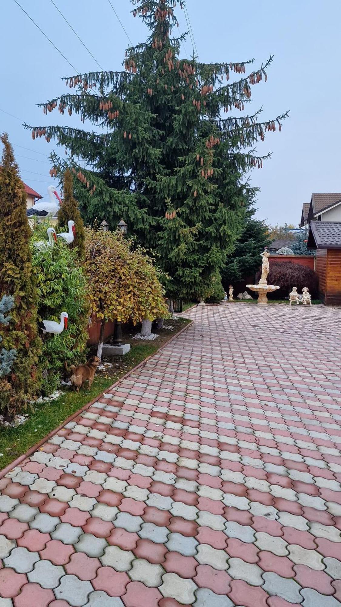 Pensiunea Toma Ploieşti Exterior foto